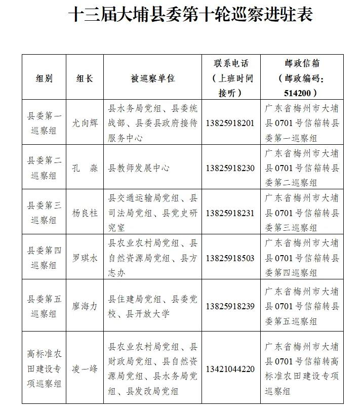 十三届大埔县委第十轮巡察进驻表.jpg